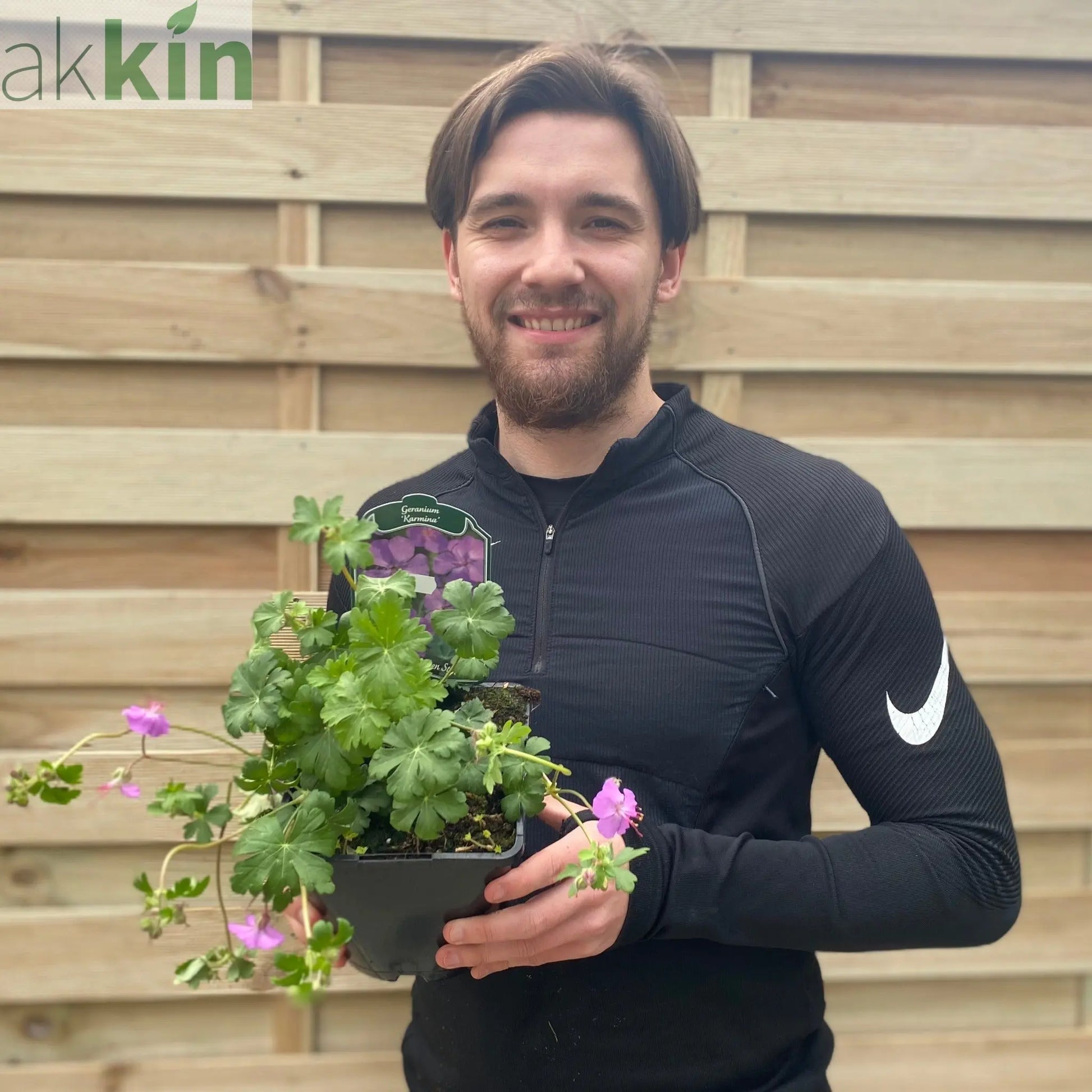 Geranium 'Karmina' 9cm / 2L One Click Plants