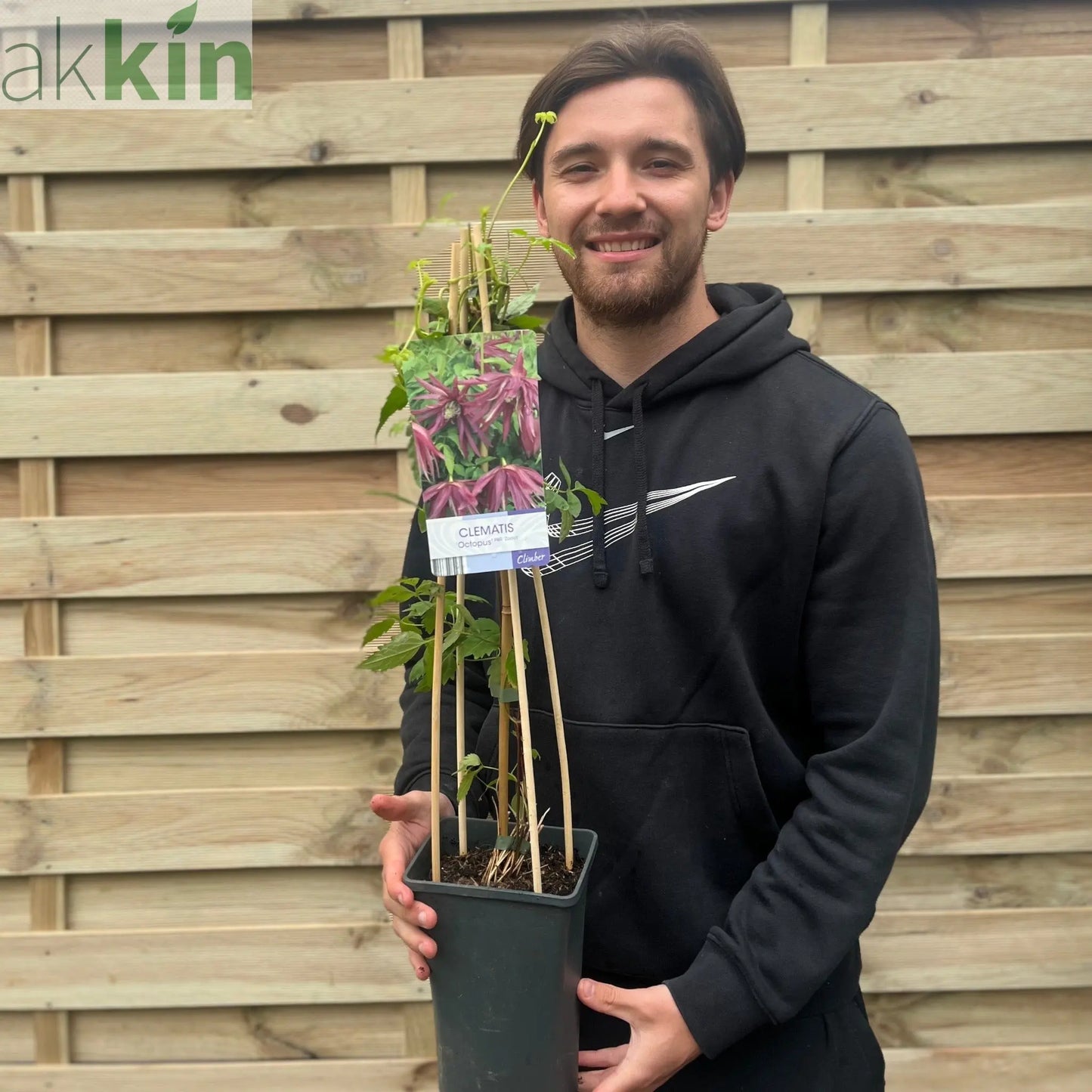 Clematis macropetala 'Octopus' 70cm One Click Plants