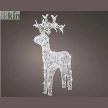 LED outdoor Christmas reindeer, 61cm