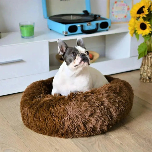 Luxury Soft Donut Dog Bed Cushion Superior Comfort Small 50cm - Brown AK Kin Garden Supplies