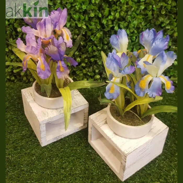 Mini Iris in Wooden Frame Set of 2 AK Kin Garden Supplies
