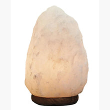 Nepal White Natural Salt Lamp AK Kin Garden Supplies