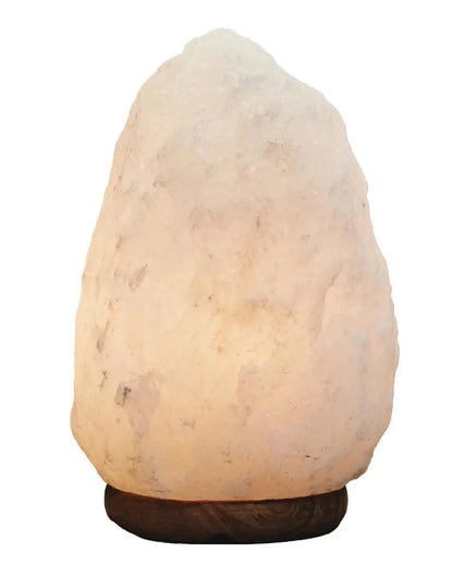 Nepal White Natural Salt Lamp AK Kin Garden Supplies