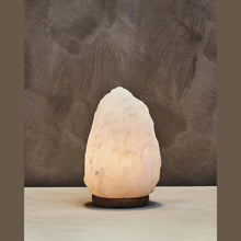 Nepal White Natural Salt Lamp AK Kin Garden Supplies