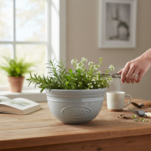 Olive Decorative Planter Bowl 30cm - Grey AK Kin Garden Supplies