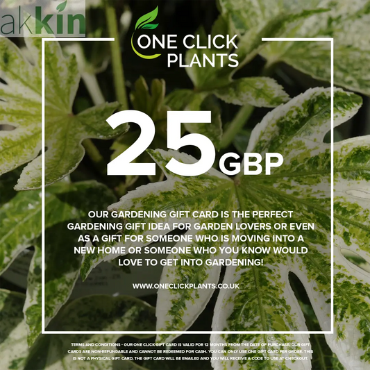 One Click Plants Gardening Gift Card from £25 to £300 One Click Plants