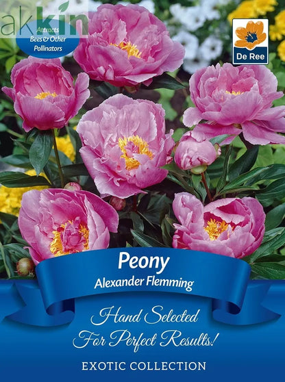 Peony 'Alexander Fleming' | Exotic Collection | 1 Bulb One Click Plants