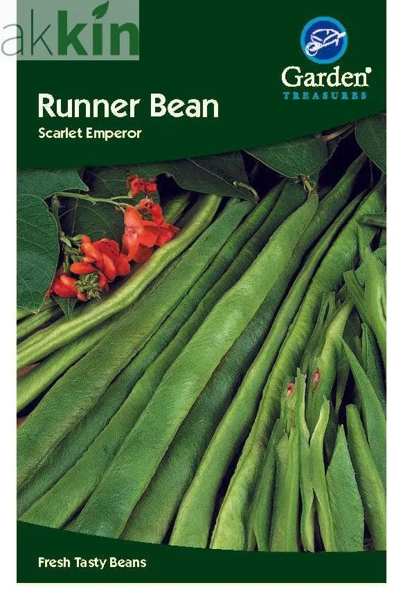 Runner Bean Scarlet Emperor Seeds One Click Plants