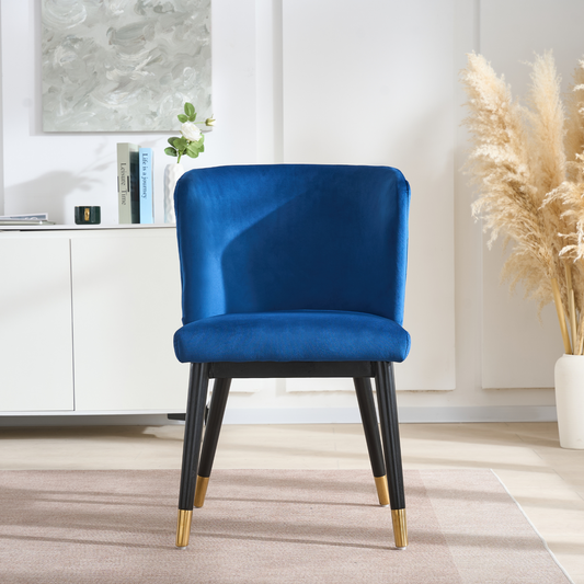 Sofina Modern Velvet Dining Chair with Tufted Back – Wooden Frame & Gold-Tipped Rubberwood Legs PN Home