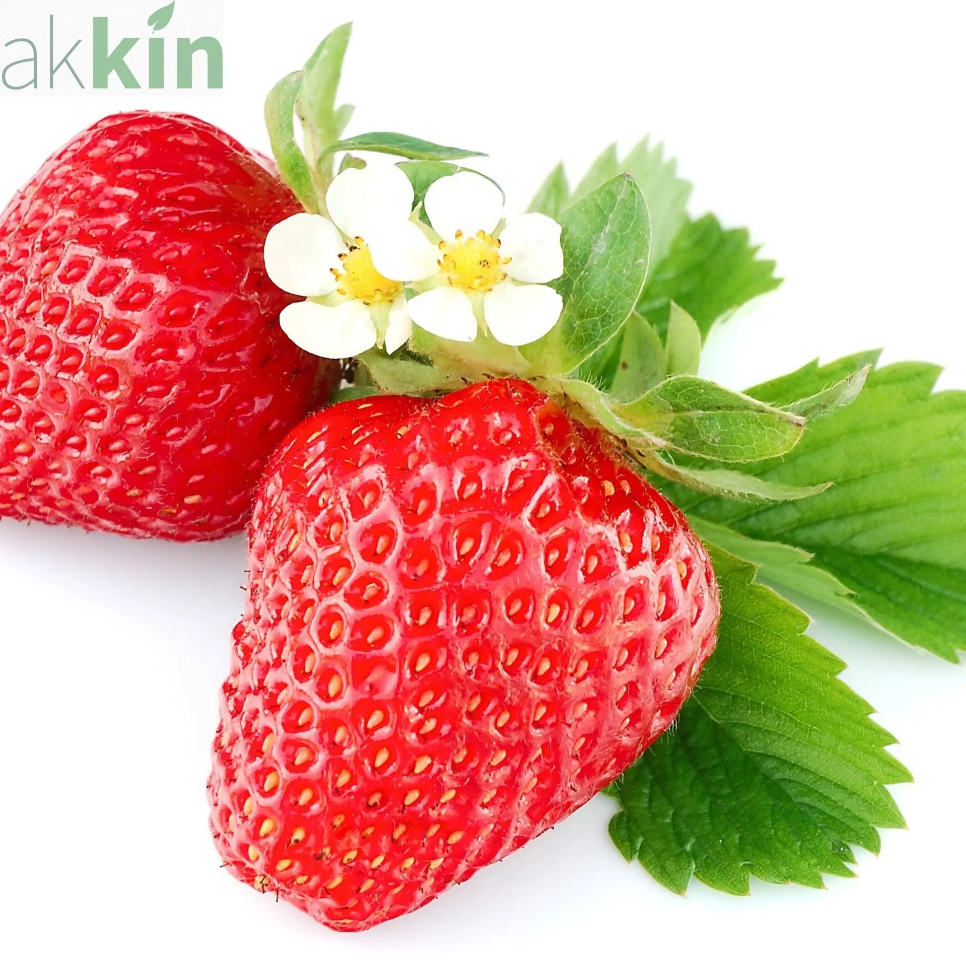 Strawberry x ananassa  'Ruby Ann' (Everbearing Strawberry) Trailing One Click Plants