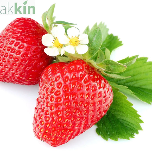 Strawberry x ananassa  'Ruby Ann' (Everbearing Strawberry) Trailing One Click Plants