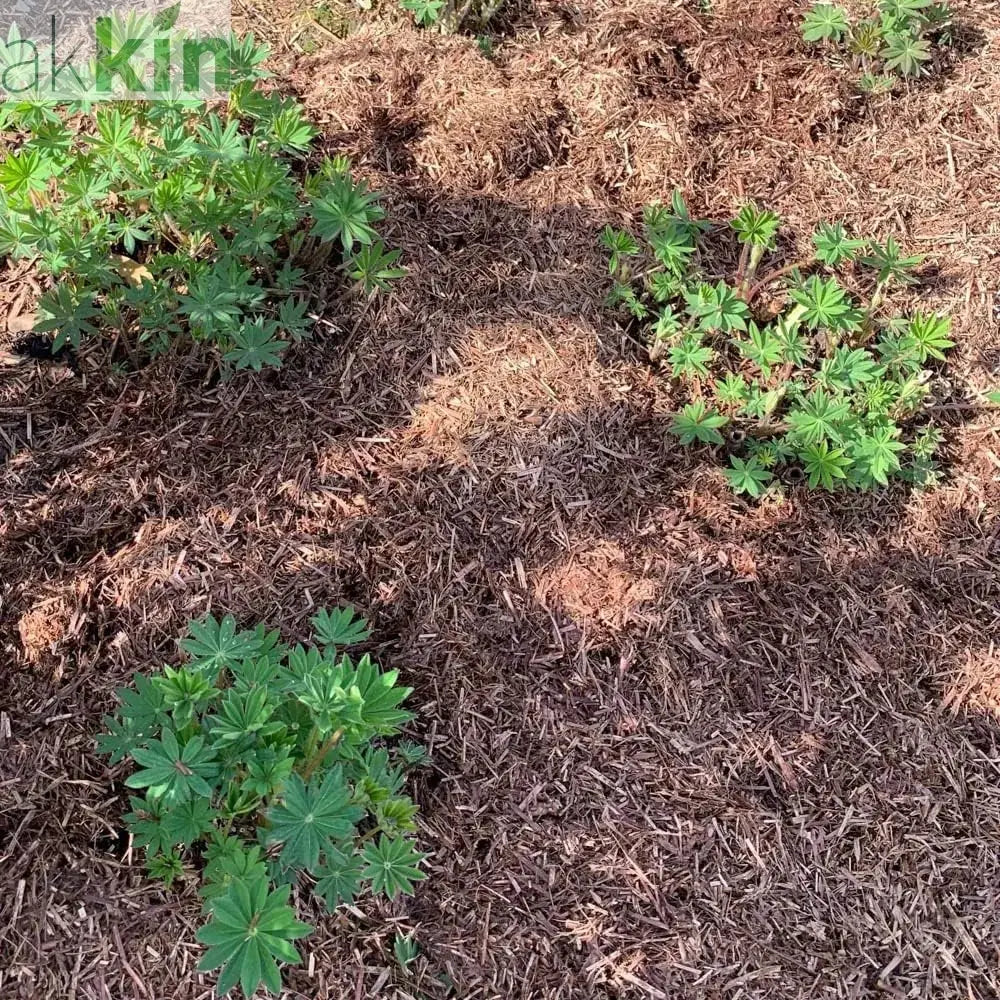 Strulch Innovative Organic Straw Mulch 9kg x 48 Bags Full Pallet - AK Kin Garden Supplies