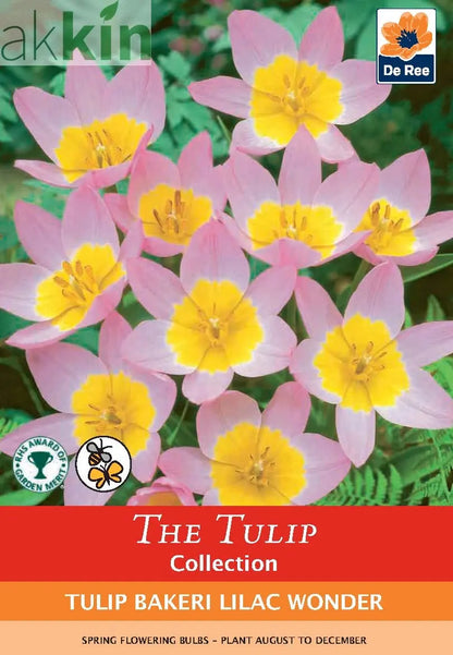 Fragrant/Scented Bulb Mix (40+ Bulbs) One Click Plants