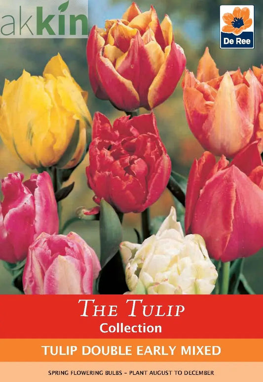 Tulip Double Early Mixed (4 Bulbs) One Click Plants