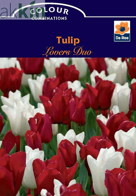 Tulip Lovers Duo (6 Bulbs) One Click Plants