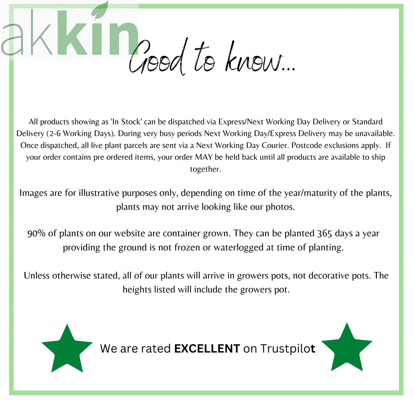 Buddleja davidii 'Empire Blue' 1L One Click Plants