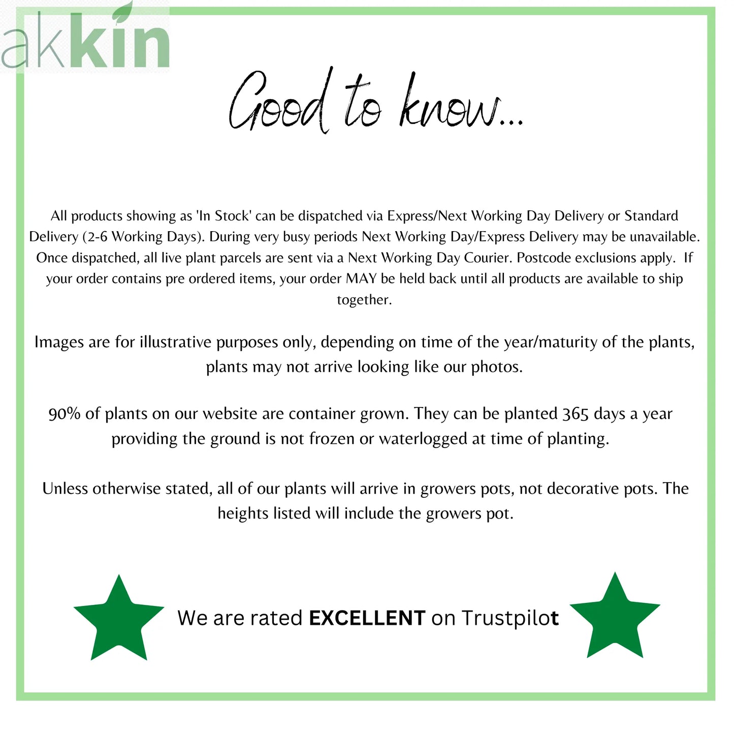 Hibiscus syriacus 'Ardens' 1.5L One Click Plants