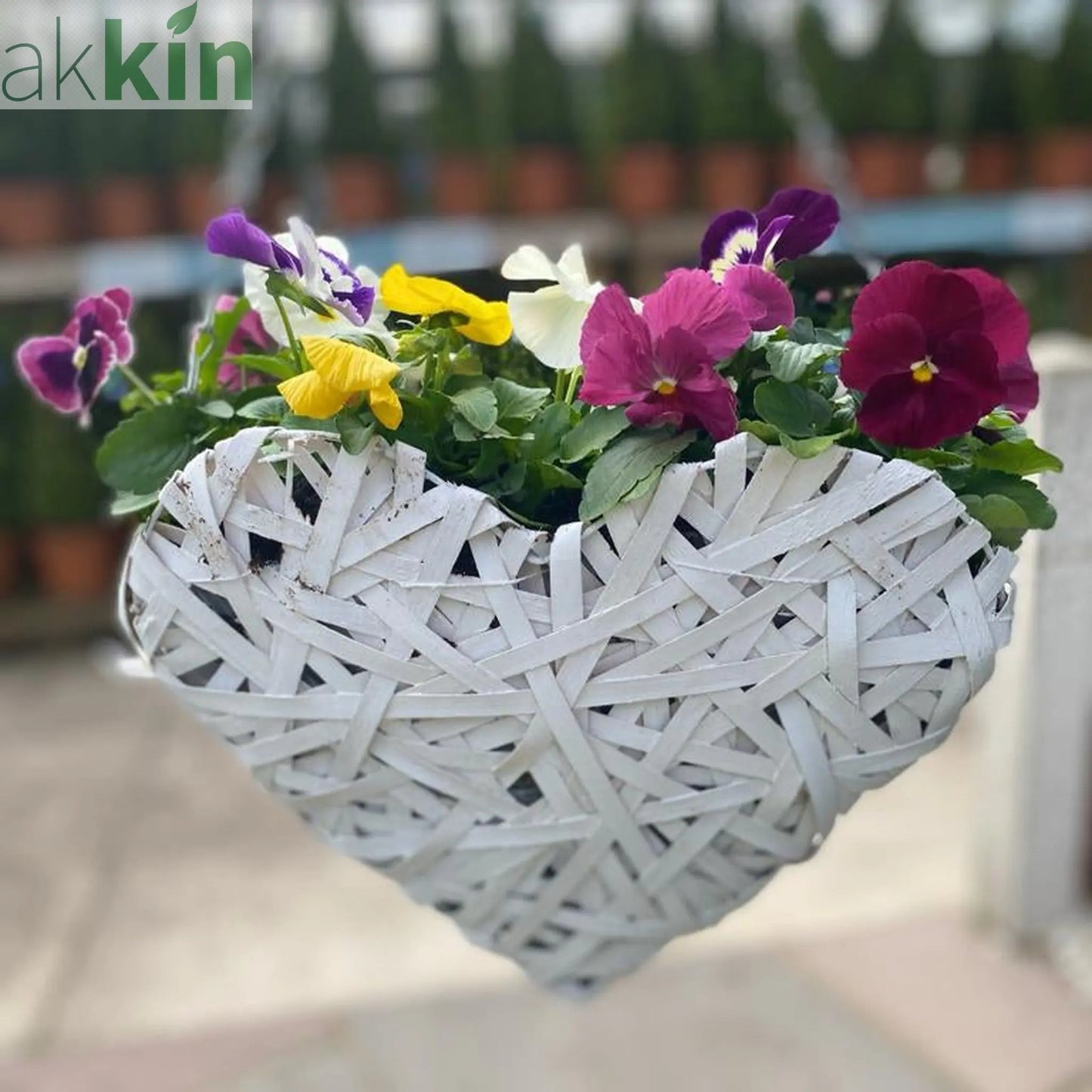 Plant Your Own Love Heart Basket -  Pansies One Click Plants