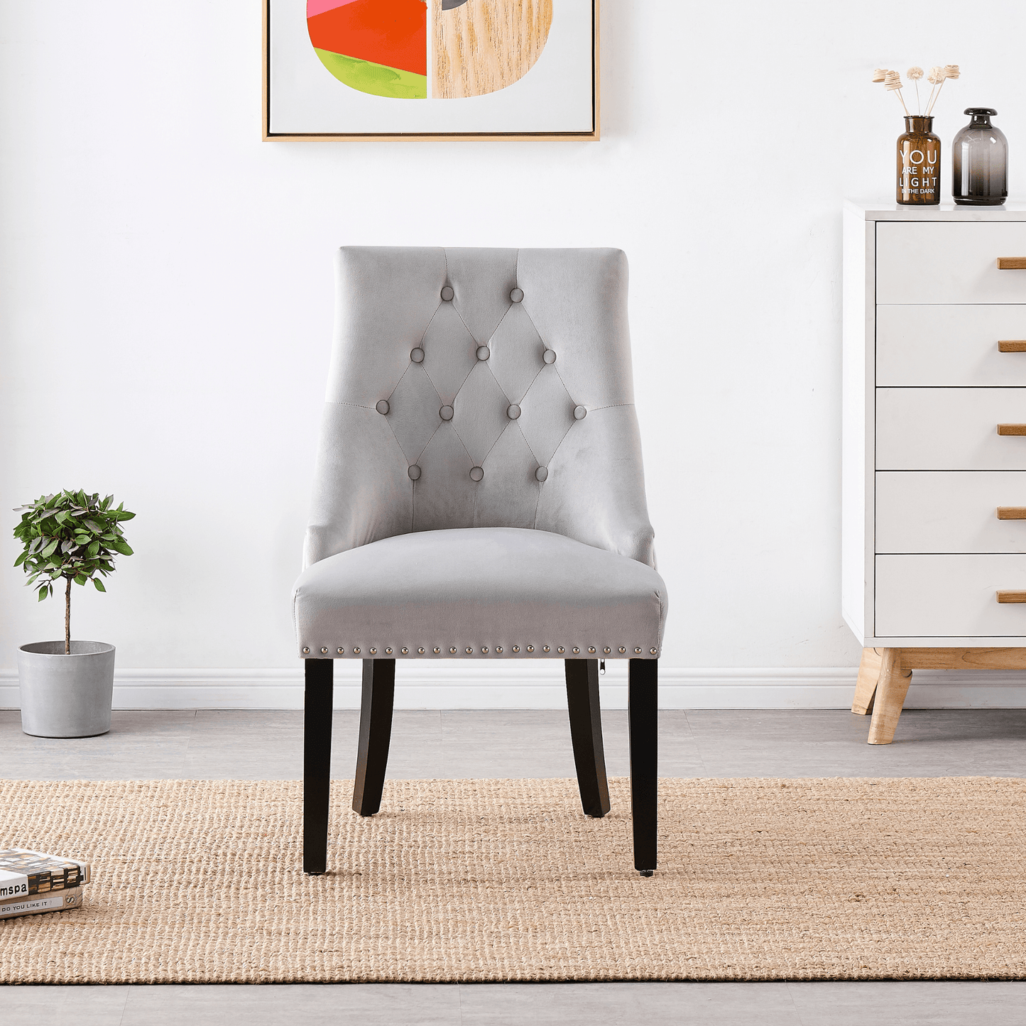 Windsor LUX Velvet Dining Chair Set of 2 PN Home