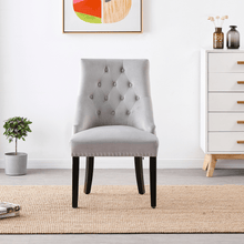 Windsor LUX Velvet Dining Chair Set of 2 PN Home