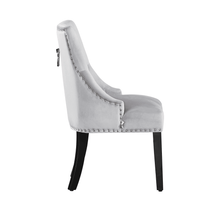 Windsor LUX Velvet Dining Chair Set of 2 PN Home