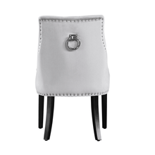 Windsor LUX Velvet Dining Chair Set of 2 PN Home