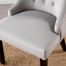 Windsor LUX Velvet Dining Chair Set of 2 PN Home