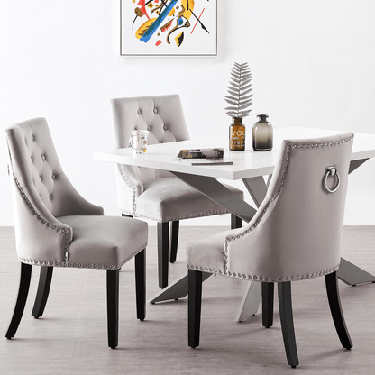 Windsor LUX Velvet Dining Chair Set of 2 PN Home