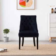 Windsor LUX Velvet Dining Chair Set of 2 PN Home