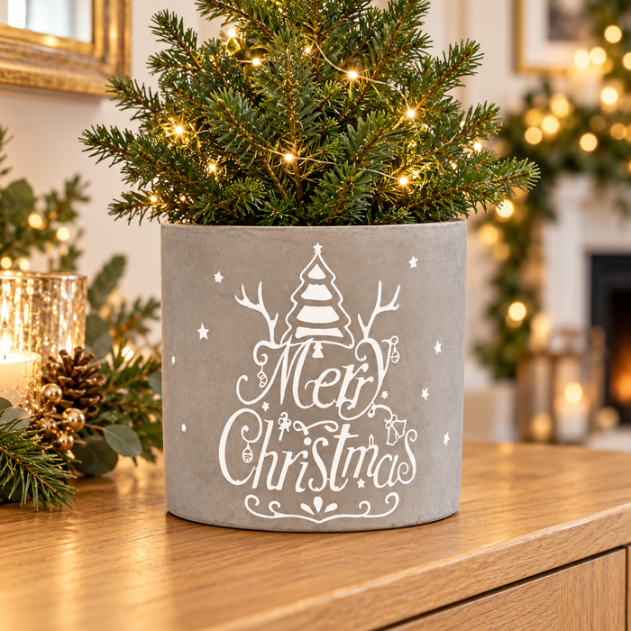 Cement Christmas planter in a warm festive home setting