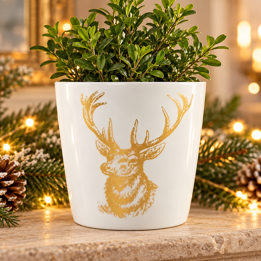 White and gold 12cm ceramic stag planter in a festive display