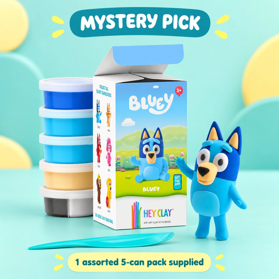 Hey Clay Bluey 5 Can - Mystery Pick shown in full on a pale teal studio background