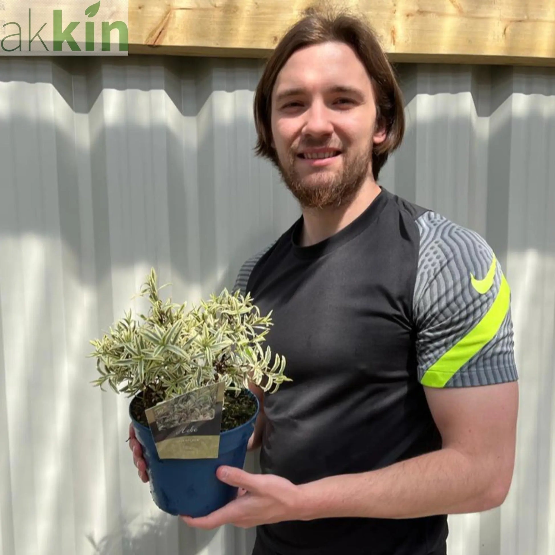 Hebe 'Eyecatcher' 2L One Click Plants