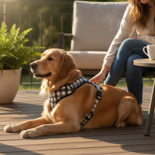 Comfy-Wear Adjustable Dog Harness -  Check Me Out - Large - Neck 44-56cm / Chest 54-78cm