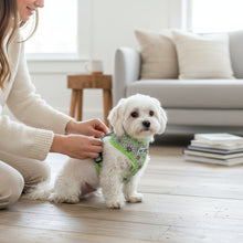 Comfy-Wear Adjustable Dog Harness - Daisy Days -  Small - Neck 34-42cm / Chest 39-56cm