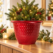Red Minerva planter in a warm festive home setting