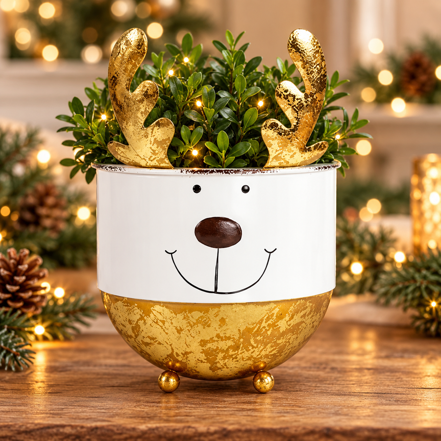 Gold and white reindeer planter with feet in a festive display
