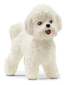 Schleich - Bichon Frise – main product image