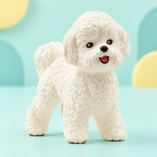 Schleich - Bichon Frise shown in full on a pale teal studio background