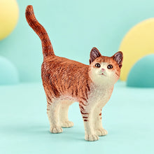 Schleich - Cat shown in full on a pale teal studio background